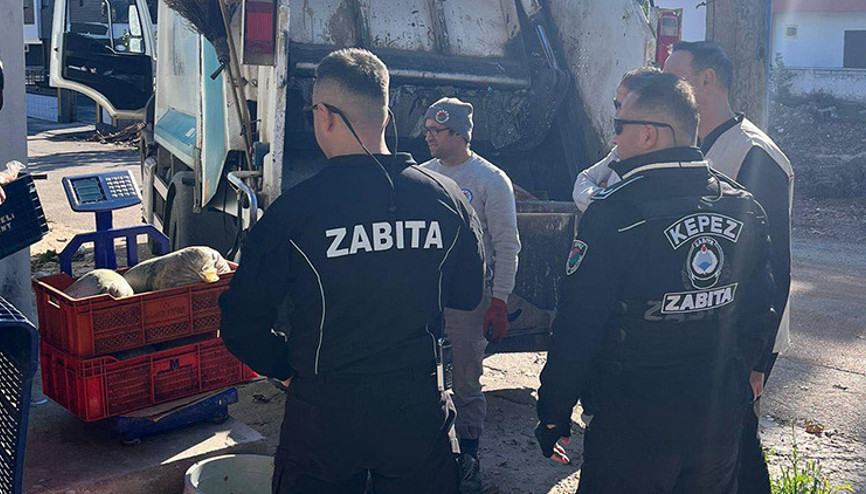 Vatandaşa yedireceklerdi: Zabıtalar yakaladı; hepsi imha edildi