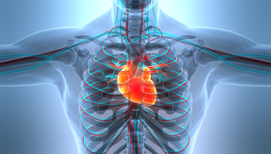 Bir yılda yaklaşık 20 milyon kişi hayatını kaybetti 45 yaş altındaki kişilerde hızla artıyor