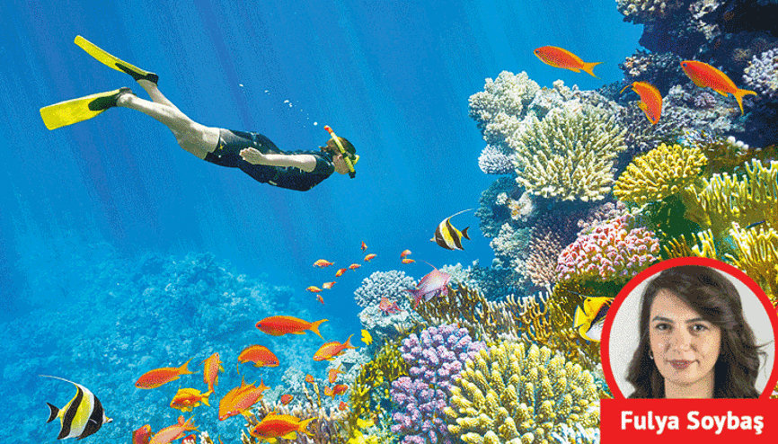 Türklerin yeni gözdesi Mısır