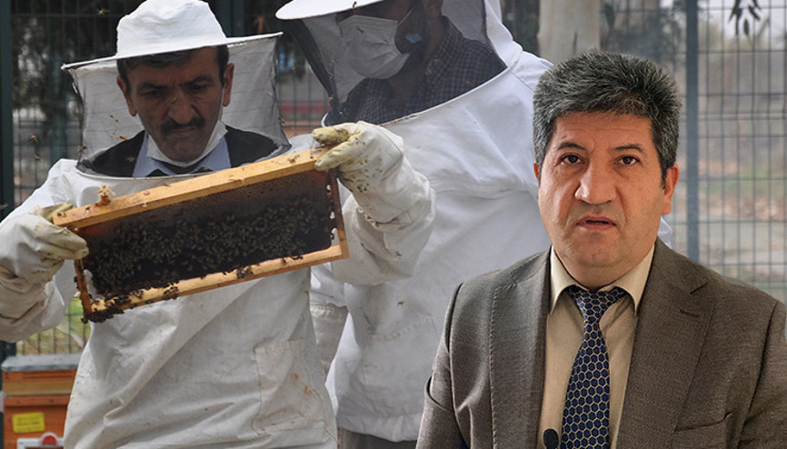 İyi bal nasıl anlaşılır Uzman isim açıkladı... Sanılanın aksine bu şekilde olması gerekiyor