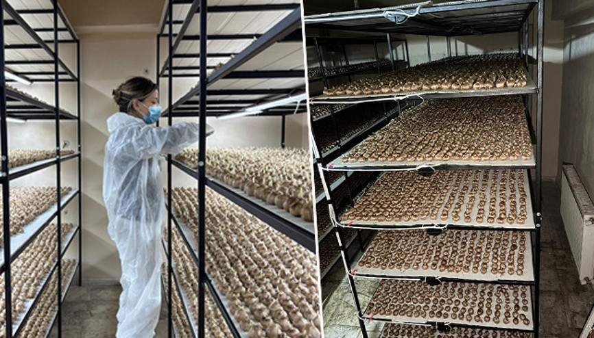 Mesleğini bırakıp hayalini gerçekleştirdi: 50 metrekarelik alanda üretiyor Günde bir bardaktan fazla tüketilmemeli Mesleğini bırakıp hayalini gerçekleştirdi: 50 metrekarelik alanda üretiyor Günde bir bardaktan fazla tüketilmemeli