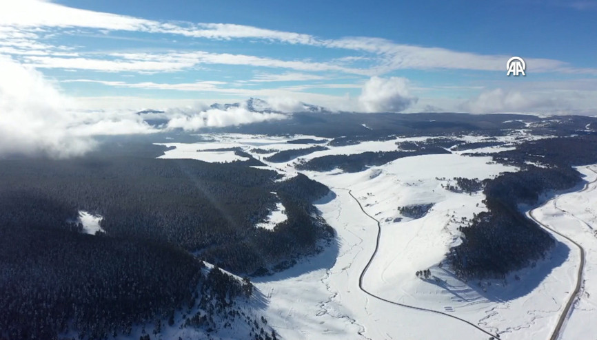 Karsta etkili olan kar yağışı sarıçam ormanlarını beyaza bürüdü