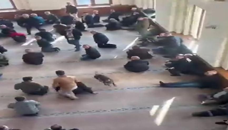 Pitbul cami cemaatinin arasına dalmıştı… Sahibine adli ve idari işlem uygulandı