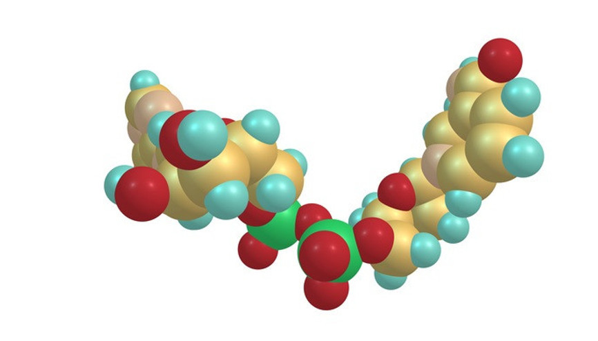 Doğal yoldan NAD seviyesi nasıl artırılır