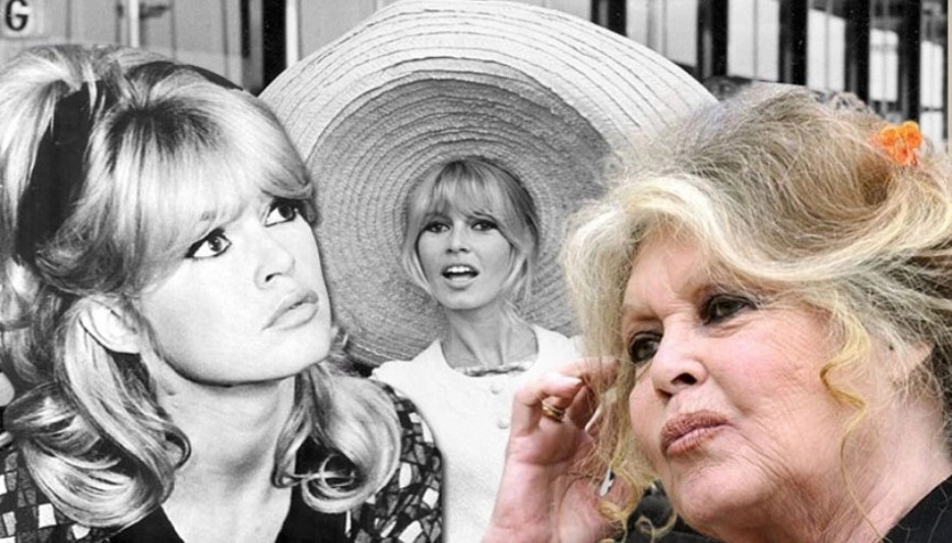 Sinemanın efsane yüzü Brigitte Bardot hayatını kaybetti