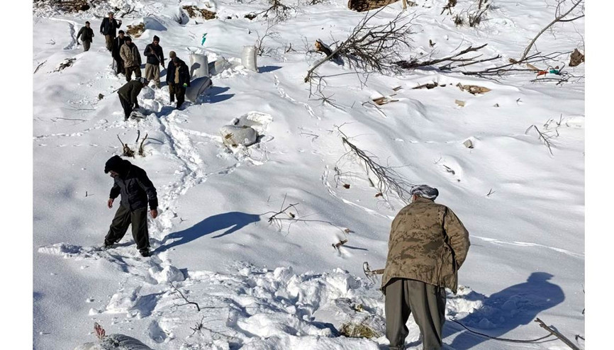 Hakkari’de çığ düştü:120 küçükbaş telef oldu
