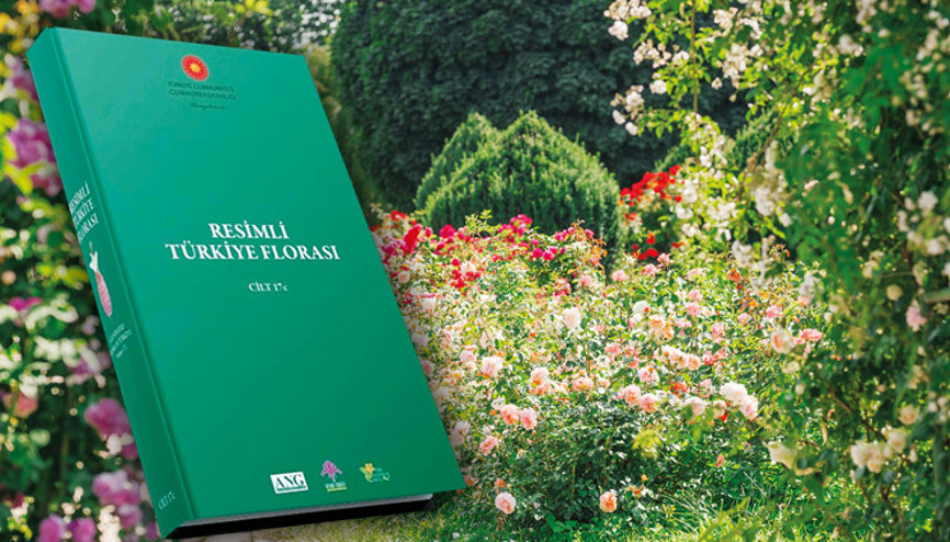 10 günde yeni bir tür keşfediliyor... Türkiye’nin bitkileri 30 ciltlik kitap olacak