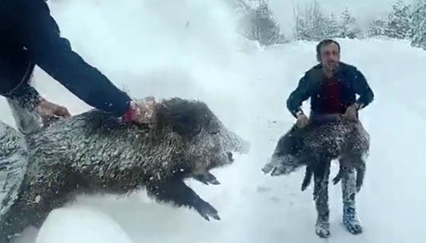 Karlı yolda karşılaştı, elleriyle yakaladı Kimse buna özenmesin Büyükleri insanı parçalayabilir Karlı yolda karşılaştı, elleriyle yakaladı Kimse buna özenmesin Büyükleri insanı parçalayabilir
