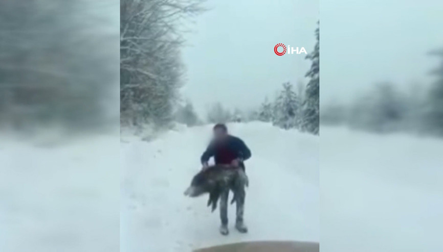 Domuzu elleriyle yakalayan adam konuştu: Kimseye tavsiye etmem