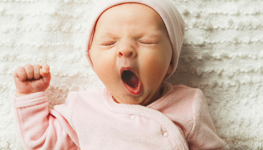 Ödüllü hoca Meclis’te anlattı... 1500 bebek bağımlı doğdu