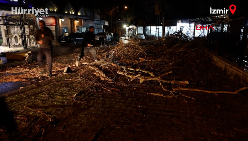 Şiddetli rüzgarda otomobilin üzerine ağaç devrildi