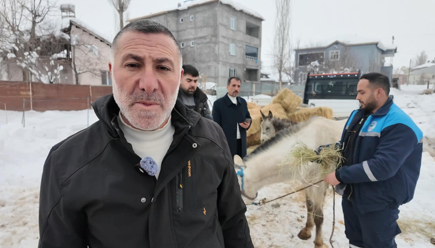 Sokağa terkedilen hayvanlara sahip çıkan besiciye yem desteği