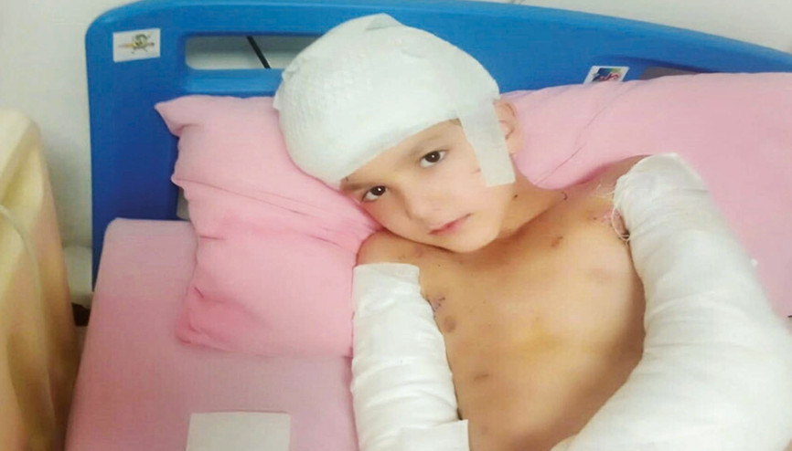 Başıboş köpek dehşetine 5 milyon TL tazminat