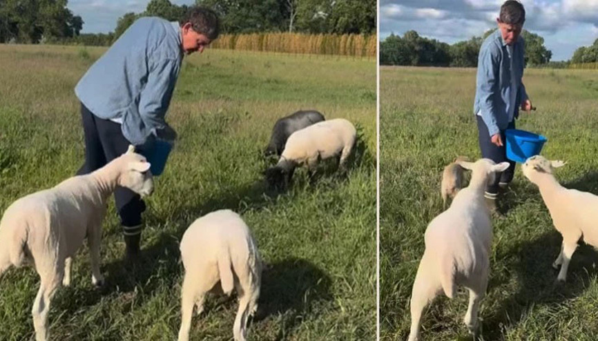 ‘Bıktım tavuk peşinde koşmaktan’ diyordu… Ünlü sunucunun çiftlik macerası çabuk bitti, malikane hayatına geri döndü
