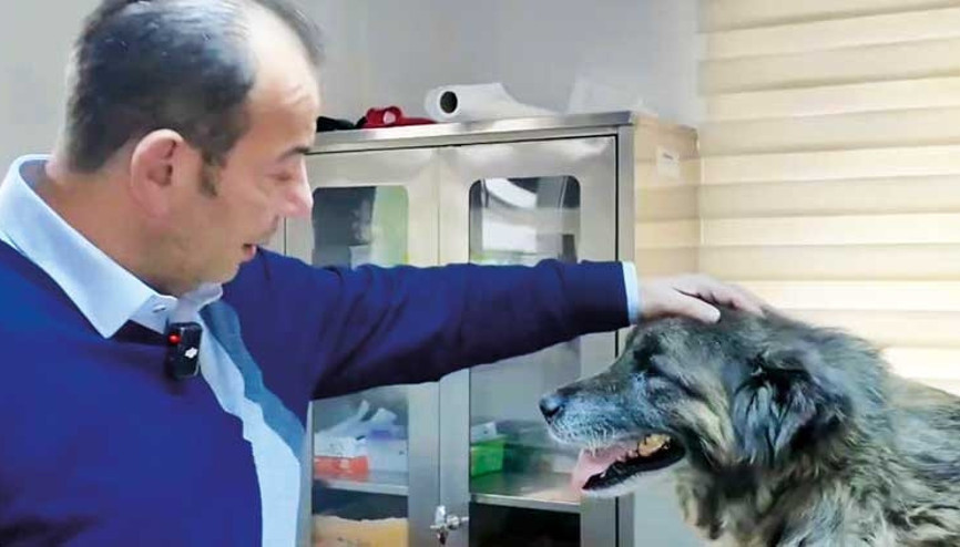 Acı üstüne acı çekmiş