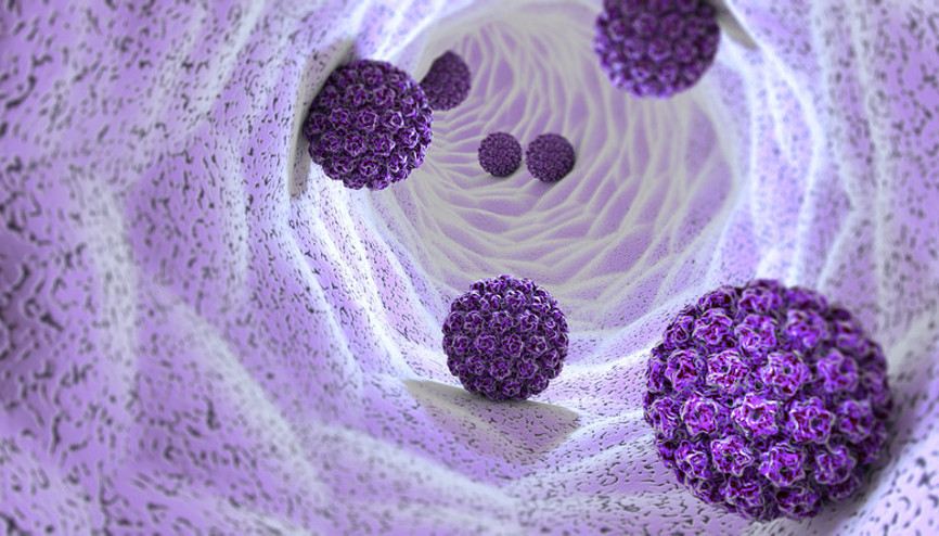 Faydası çok ama çoğu insan doğrusunu bilmiyor HPV aşısı hakkında doğru sandığınız 5 yanlış Faydası çok ama çoğu insan doğrusunu bilmiyor HPV aşısı hakkında doğru sandığınız 5 yanlış