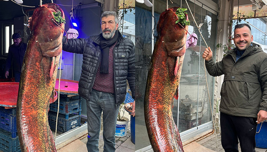 Ankaradaki gölde yakalandı | Güçlükle çıkardılar: 2 metre uzunluğunda 85 kilo ağırlığında