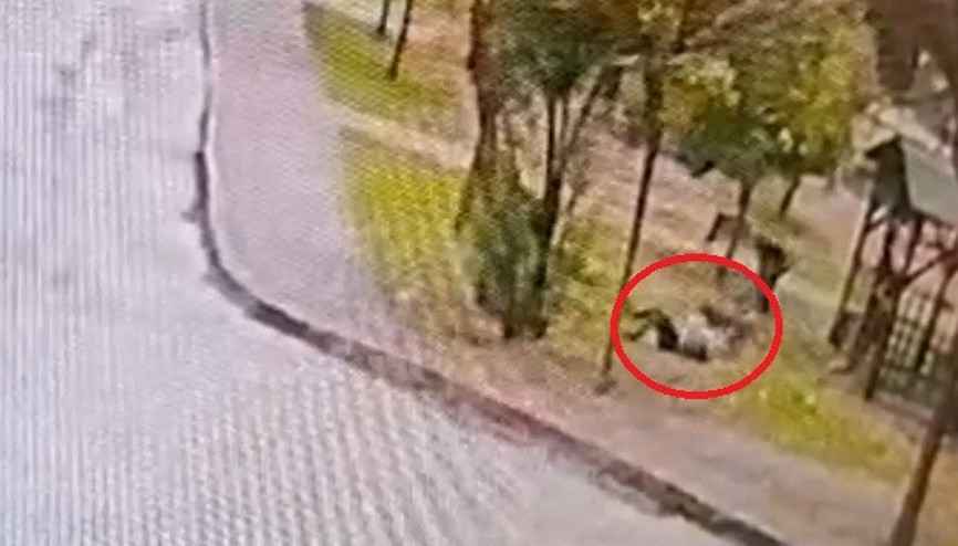 Sahipsiz 2 kurt köpeği, tasmayla gezdirilen evcil köpek ile sahibine saldırdı