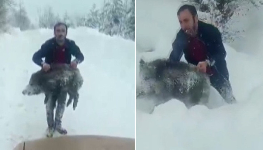 Sosyal medyada gündem olmuştu Sinopta yavru domuzu elleriyle yakalayan kişiye 15 bin lira ceza