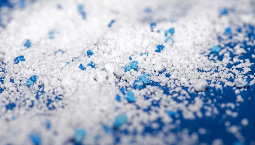 Antarktika’daki böcekten bile mikroplastik çıktı