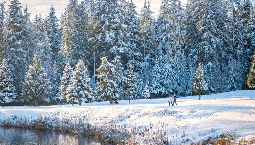 Kışın en güzel yürüyüş rotaları: Karlar altında 7 rota