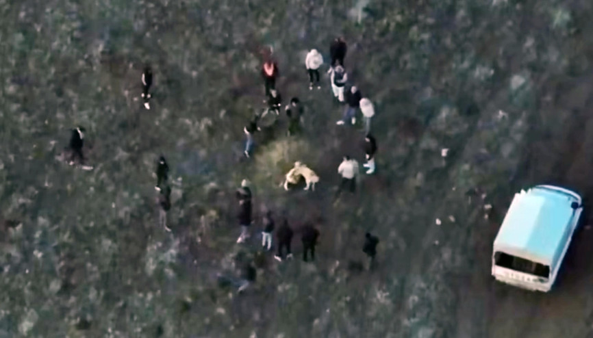 Jandarma köpek dövüşünü dronla tespit etti; 14 gözaltı Jandarma köpek dövüşünü dronla tespit etti; 14 gözaltı