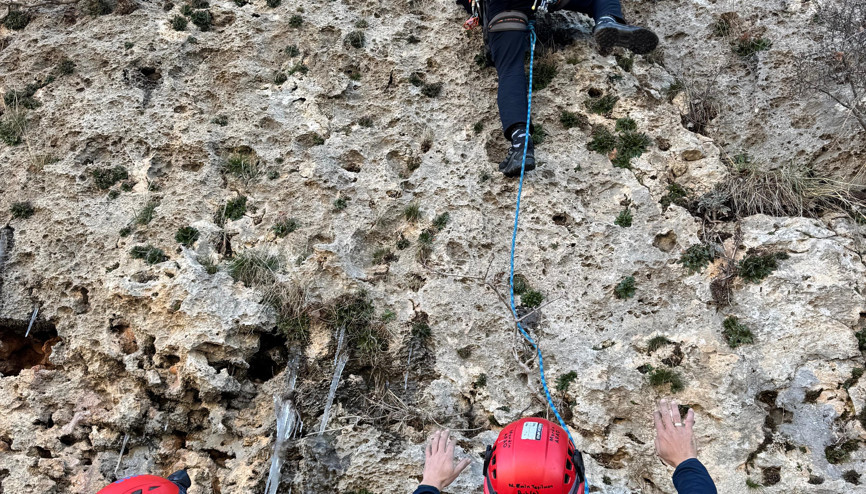 Mardin’de dağda mahsur kalan keçi kurtarıldı