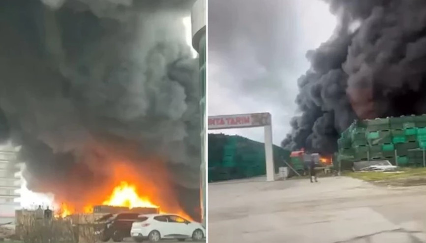 Büyükçekmecede palet ve plastik kasa deposunda yangın