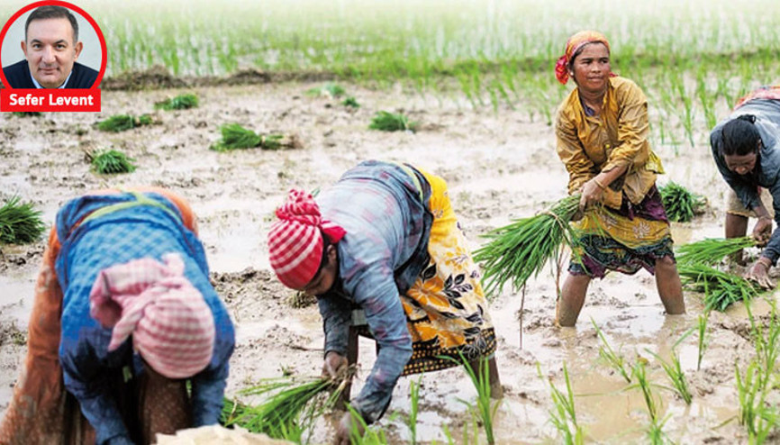 Mississippi ile Gönenli çiftçilerin kader ortaklığı