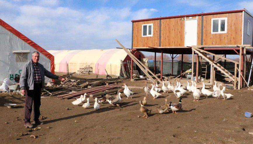 3 asırdır köylerinde kaz yetiştiriyorlar 3 asırdır köylerinde kaz yetiştiriyorlar