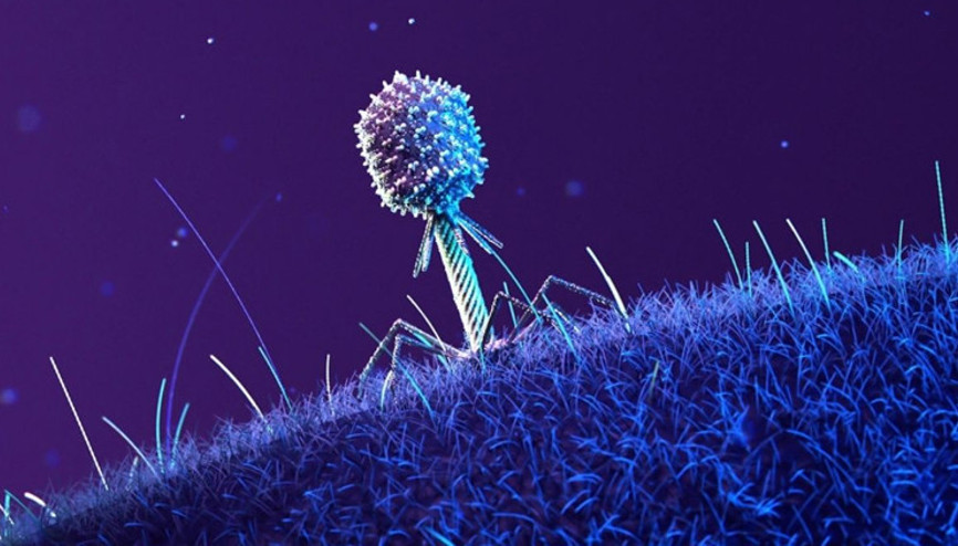 Uzaydan gelen umut: Bakterilere karşı yeni silah Uzaydan gelen umut: Bakterilere karşı yeni silah