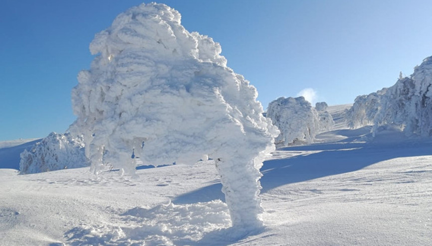 Yer: Bolu... Ağaçlar buz tuttu