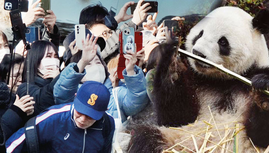 Son bir kez görelim