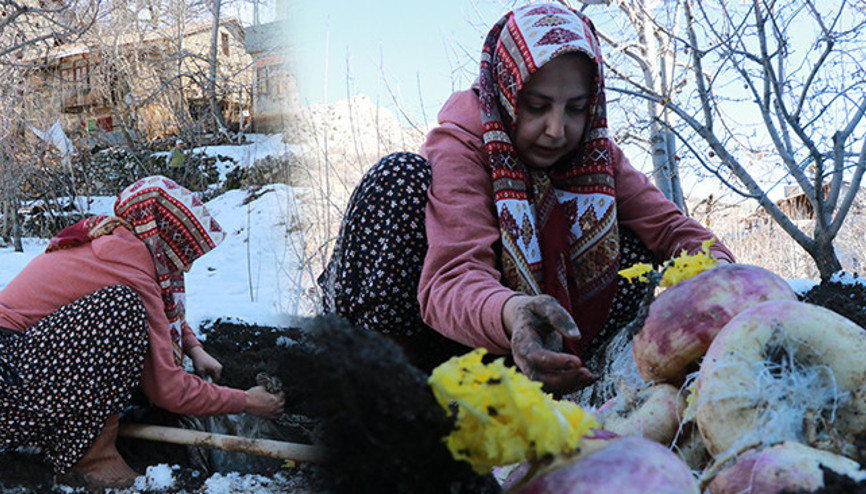 Büyük çuvallar halinde toprak altına gömüyorlar Kışın çıkarıyorlar: Hiç bozulmaz, ilk günkü gibi durur