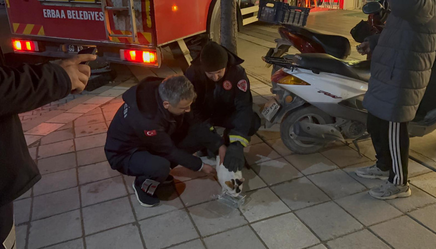 Boş evin balkonunda mahsur kalan kediyi itfaiyeciler kurtardı