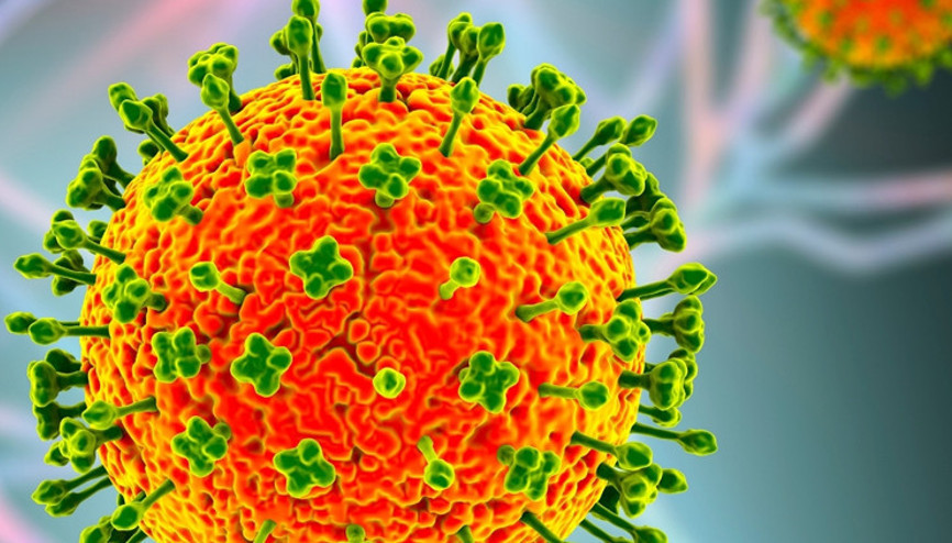 Nipah virüsü alarmı büyüyor