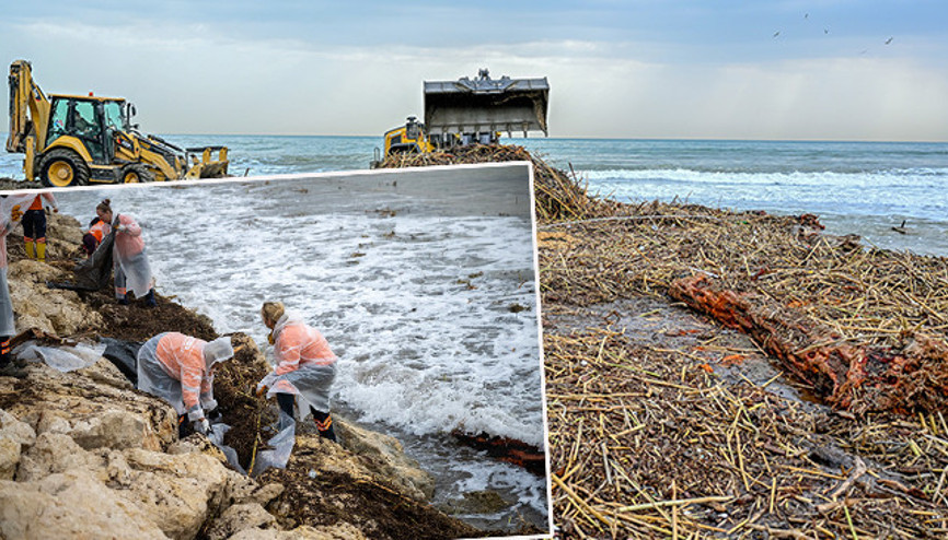 Taşkın sularıyla denize ulaştı: 150 kamyon toplandı Amacımıza ulaştık, halkımız rahat etsin