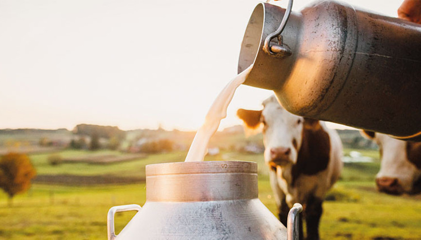 Uzmanlar uyardı: ‘Sokak sütü’ modasına dikkat