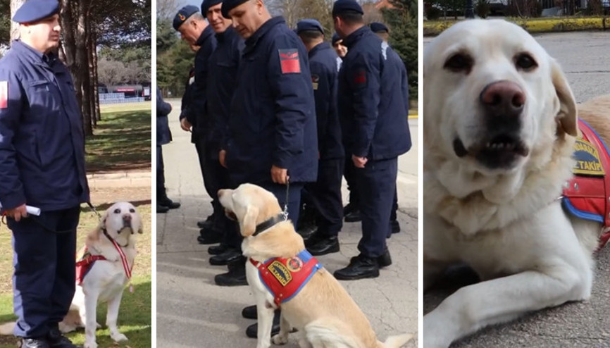 10 yıldır jandarmada görevli olan Medyum emekliye ayrıldı