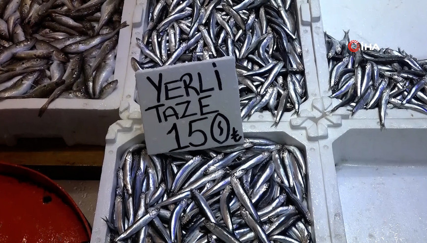 Hamsi bu defa şaşırttı: Tezgahlar yeniden şenlendi
