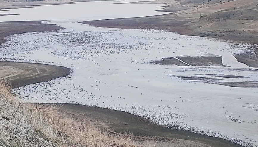 Selevir Barajı su tutmaya başladı Selevir Barajı su tutmaya başladı