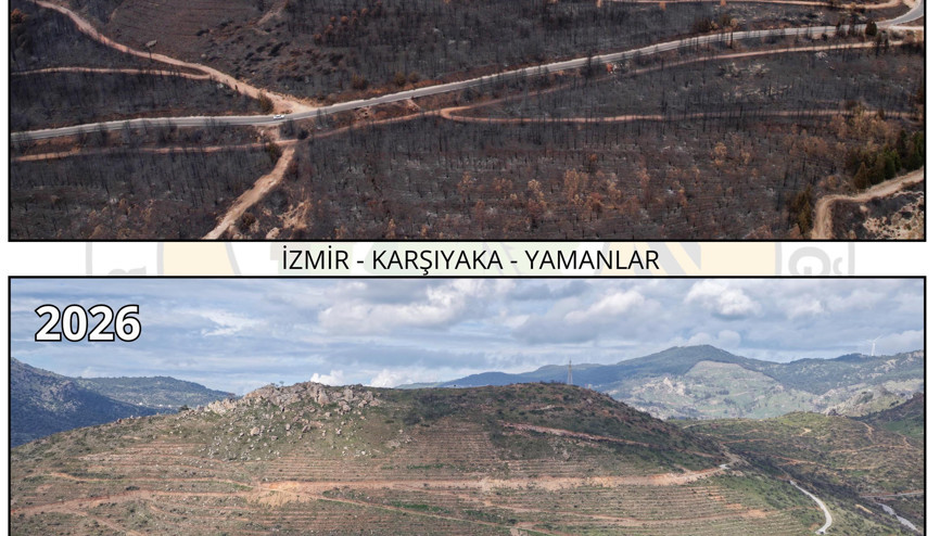 Orman yangını ile zarar gören Yamanlar, yeniden yeşile bürünüyor