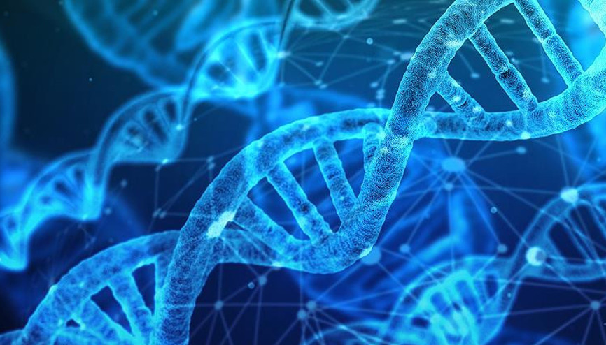 DNA ile veri depolanacak DNA ile veri depolanacak