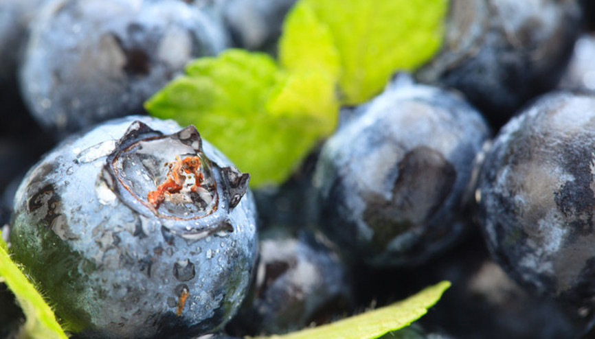 Gizli bir süper güç: Sağlığa faydası saymakla bitmiyor Günde sadece 200 gram tüketilmeli…