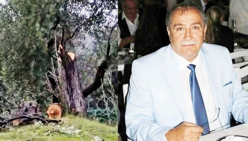 CHP Milas’ta zeytin ağacı istifası