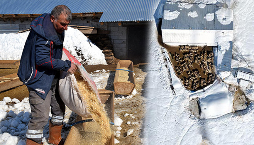 Doğup büyüdüğü mahallesine döndü: 4 yılda hayatı değişti Tüm zorluklara rağmen seviyorum