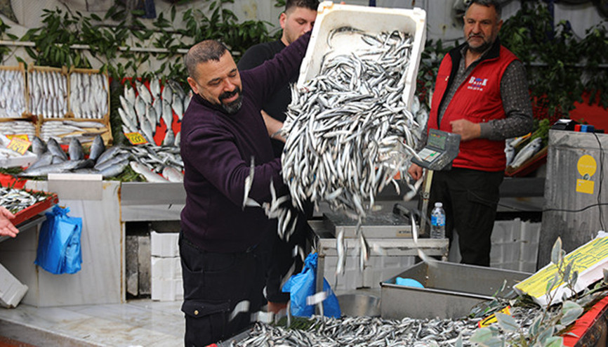 Sezon başında 400 liraydı 50 liraya kadar düştü: Bu yıl ilk kez oldu, rağbet oldukça fazla