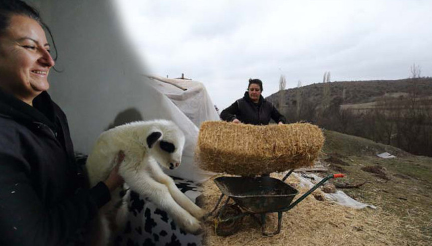 Şehir hayatından sıkılıp köyüne yerleşti: Bir doğum günü hediyesiyle her şey değişti 24 saat sürekli içlerindeyim, güne keyifle başlıyorum