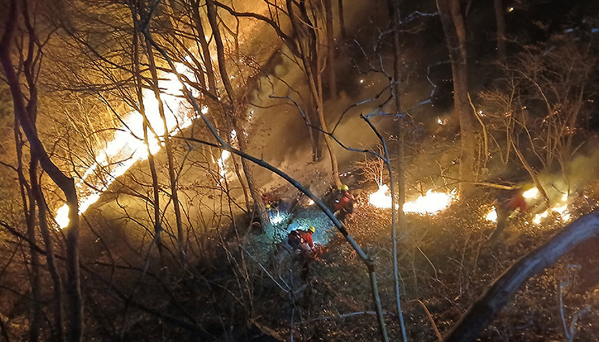 Güney Korede orman yangınları kontrolden çıktı: 3 günde 190 hektar küle döndü