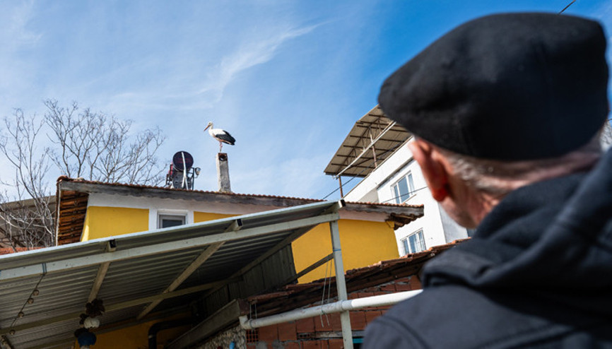 Bursada Yaren leylek bekleniyor... Eşi Nazlı geldi